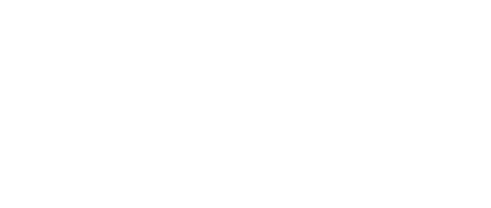 northern_digital-inc-logo